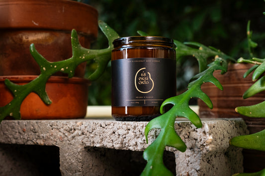 Soy Wax Candle | 250g | The Black Label Collection