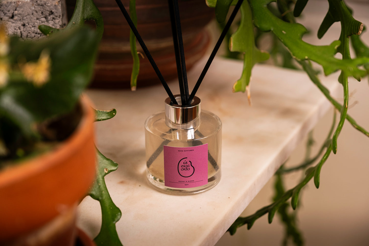 Reed Diffuser - Olive Oil & Vanilla | 100ml