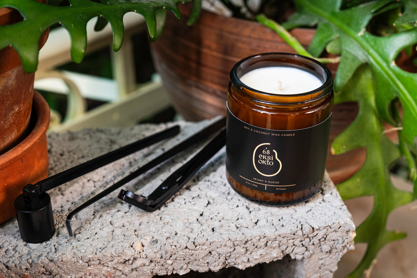 Soy Wax Candle | 250g | The Black Label Collection
