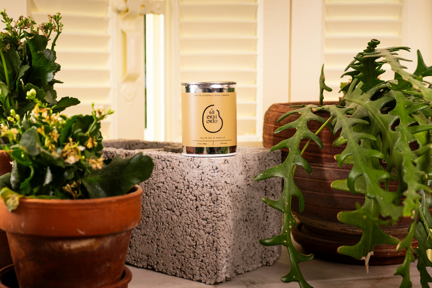 Soy Wax Candle - Olive Oil & Vanilla | 250g