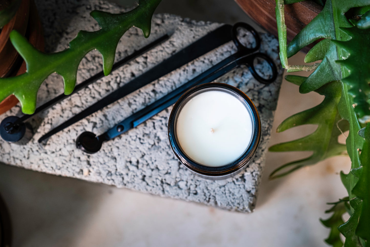 Soy Wax Candle | 250g | The Black Label Collection