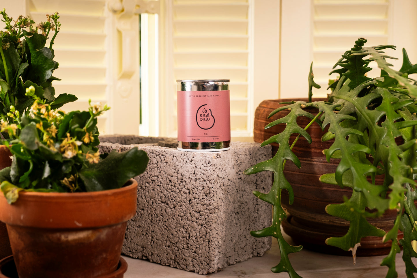Soy Wax Candle - Fig | 250g