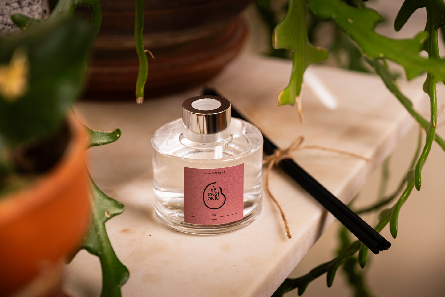 Reed Diffuser - Fig | 100ml