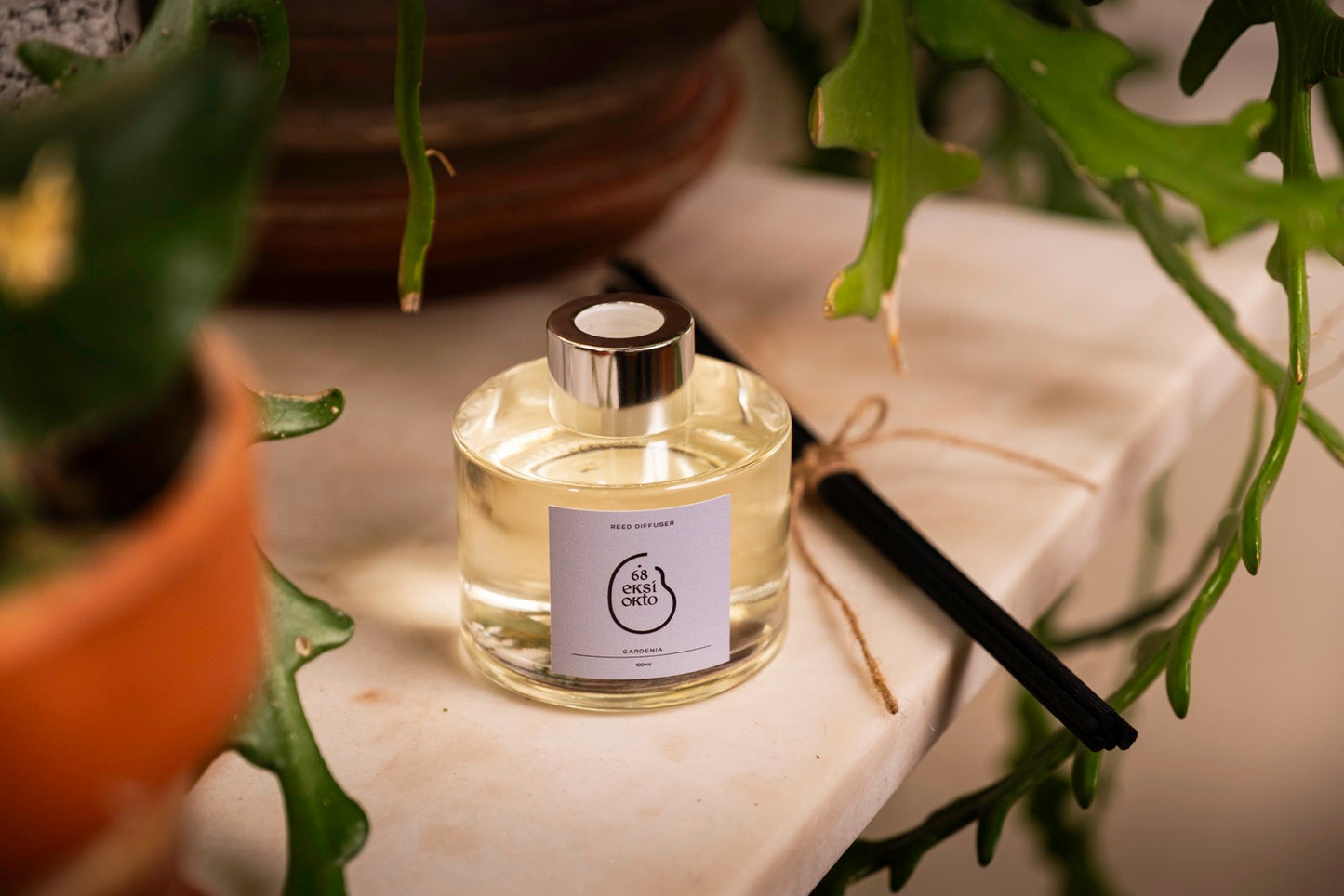Reed Diffuser - Gardenia | 100ml